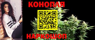 твердый Будённовск
