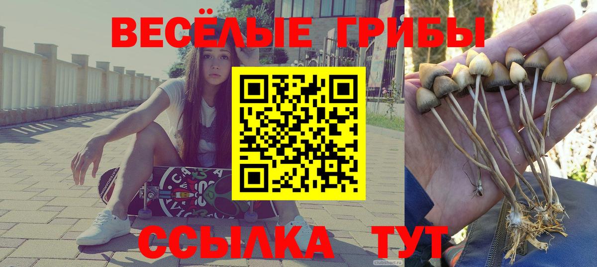 Галлюциногенные грибы мицелий Мытищи